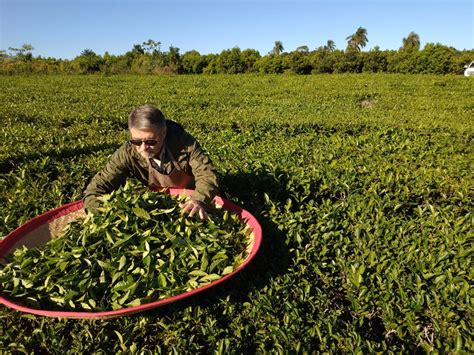 Productores De Misiones Exigieron Un D Lar T Ante El Encarecimiento