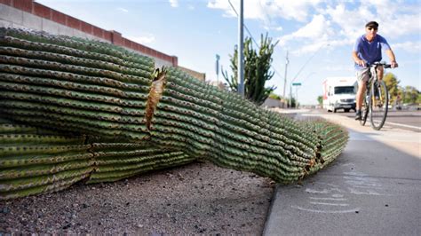 ‘Shocking’ heat waves persist through August as federal officials warn of far-ranging health ...