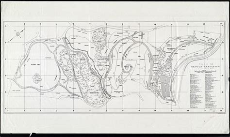 Plan Of The Arnold Arboretum List Of Genera Digital Commonwealth