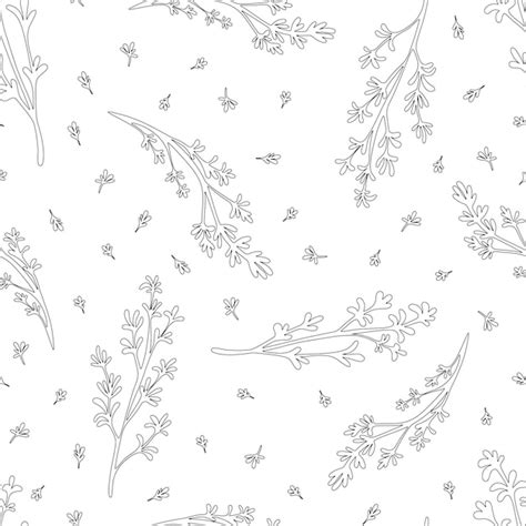 Premium Vector Seamless Pattern With Hand Drawn Thyme Leaves And Branches