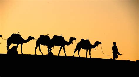 Sahara Tours Morocco Desert Tours from Marrakech Desert Fes