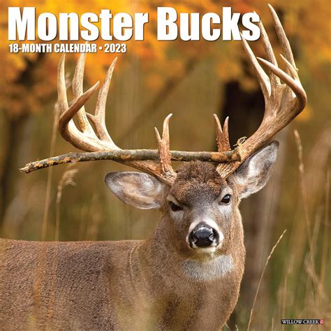 Buy Monster Bucks 2023 Wall Calendar Book Online At Low Prices In India