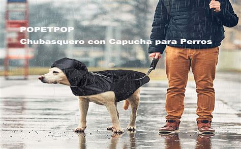 Popetpop Chubasquero Con Capucha Para Perros Medianos Y Grandes