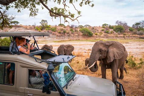 Tanzania Safari Itinerary Best Itineraries In Tanzania