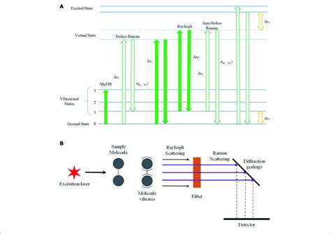 Schematic Illustration Of The Basic Principles Of Raman Effects And Download Scientific