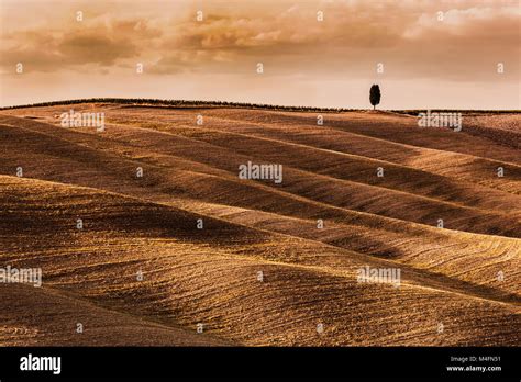 Tuscany Fields Autumn Landscape Italy Harvest Season Stock Photo Alamy