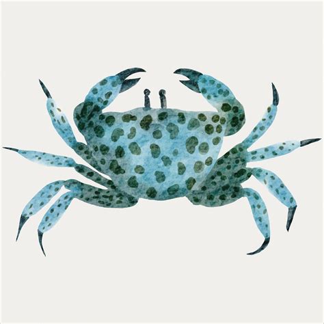 Premium Vector | Colorful crab watercolor painting artistic marine