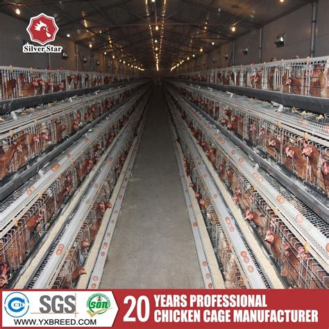 Battery Cages Poultry House Design For Layers In Kenya Farm Chicken