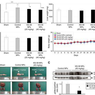 Antitumor Efficacy Of Ks Nps In Mice Bearing Ct Subcutaneous