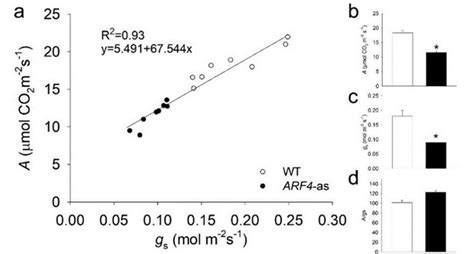 Net Co Assimilation Rate A And Stomatal Conductance Gs In