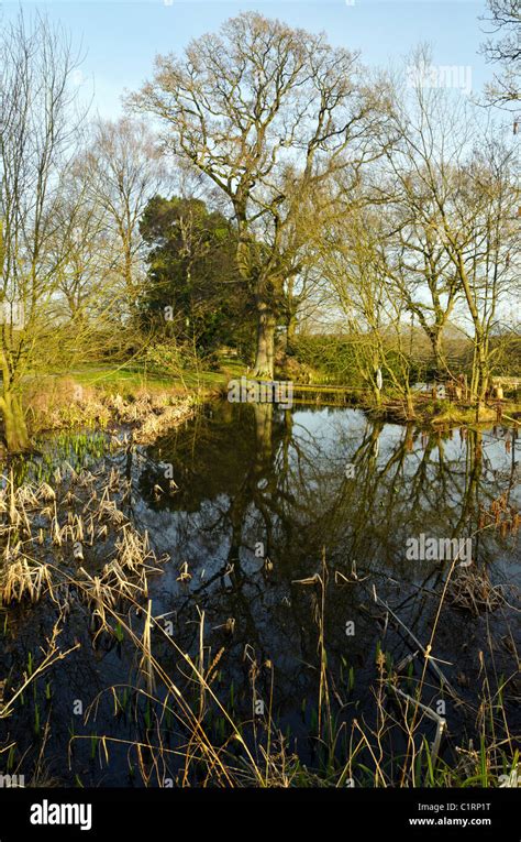 Lyndhurst New Forest England Great Britain Uk Stock Photo Alamy