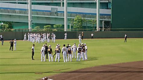 安田光高 On Twitter おはようございます。本日の鳴尾浜は快晴です。ウエスタンl 阪神－中日戦は12時半開始です。阪神の先発は新人