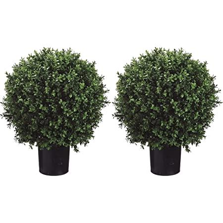 Amazon Silk Tree Warehouse Company Inc Two Foot Outdoor