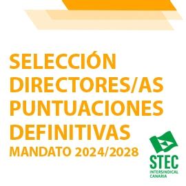 STEC IC Selección de directores as mandato 2024 2028 puntuaciones