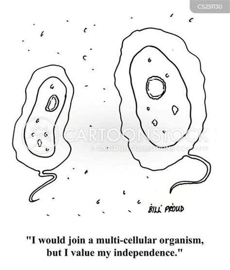 Cell Nucleus Cartoon