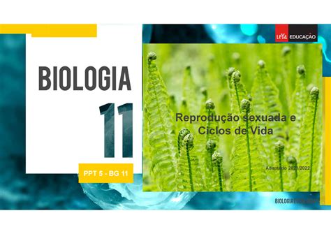 Ciclos de vida PPT 5 BG 11PPT 5 BG 11 Reprodução sexuada e Ciclos