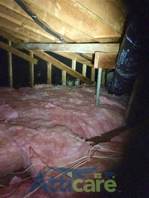 Attic Clean Up Insulation Installation Project Photos Los Angeles