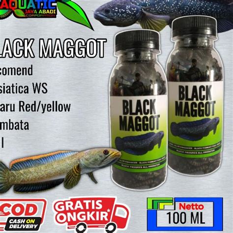 Jual Alu Maggot Kering Black Pigment Kemasan Botol Ml Shopee