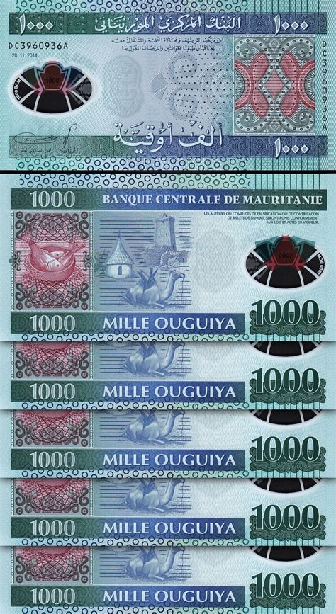 Mauritania 1000 Ouguiya 2014 UNC 5 Pcs LOT Polymer P 19 Fortumor