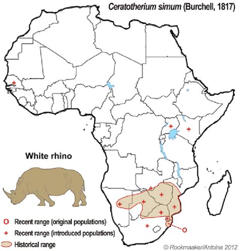 Historical And Current Distribution Of The White Rhinoceros