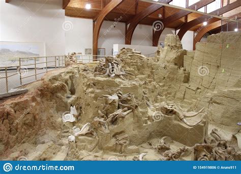 Mammoth Museum In Hot Springs South Dakota Editorial Photo Image Of Bones Museum 154919806