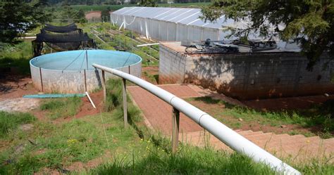 Universidad De Quer Taro Desarrolla Sistema De Captaci N De Agua Y Se