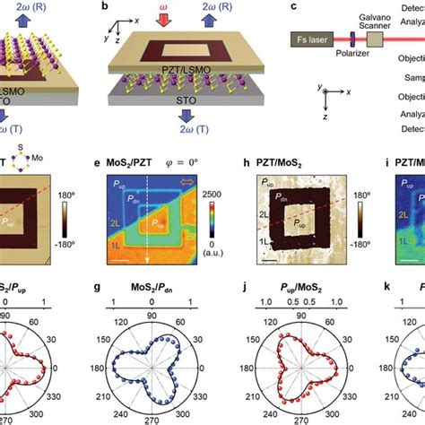 Ferroelectric Domain Control Of Shg Singals Ab Schematics Of A