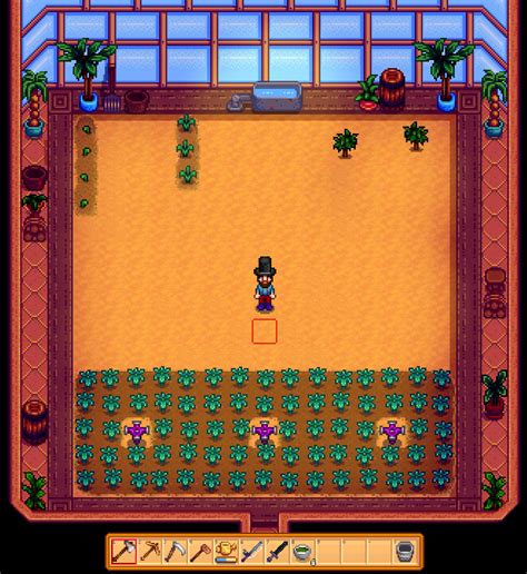 Best Stardew Greenhouse Layout Stormwide