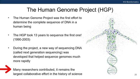 Introduction To The Human Genome Youtube