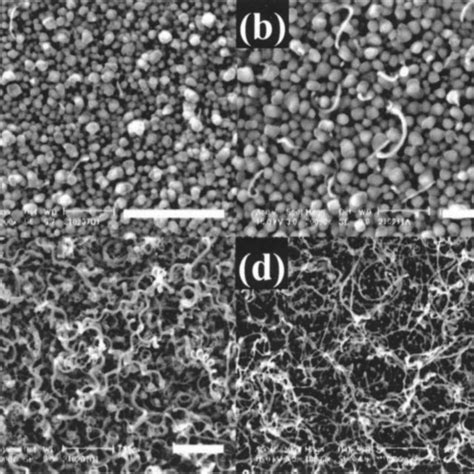 SEM Images Of The Nanostructured Carbon Films Deposited At Different