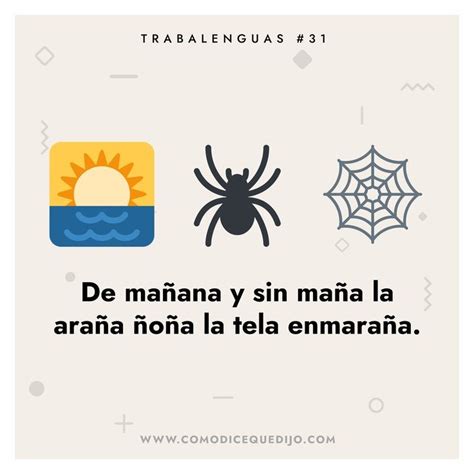 A Spider And A Spider Webpage With Spanish Text