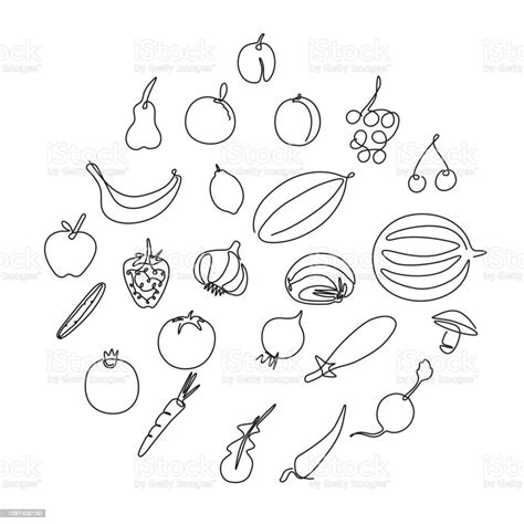 drawing fruits  vegetables stock illustration