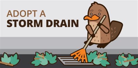 Why Storm Drains Are Important Crystal Lake Improvement Association