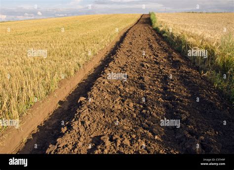 First Tillage Trench In The Crop Field Stock Photo Alamy