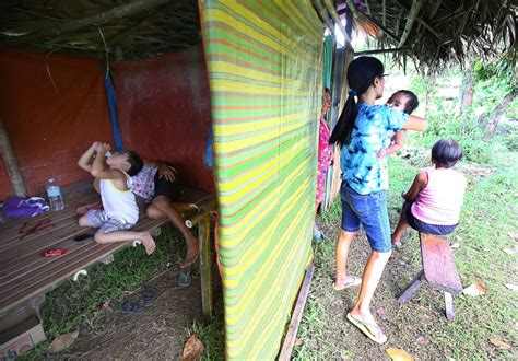 Mayon Affected Families Get P K Each From Dswd The Manila Times