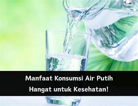 cara mengatasi mual di pagi hari 1