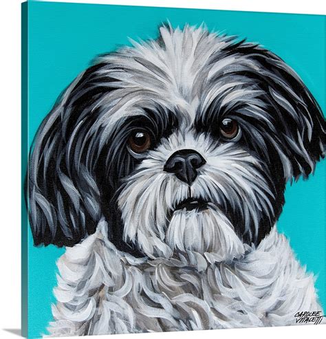 Black And White Shih Tzu Wall Art, Canvas Prints, Framed Prints, Wall Peels | Great Big Canvas