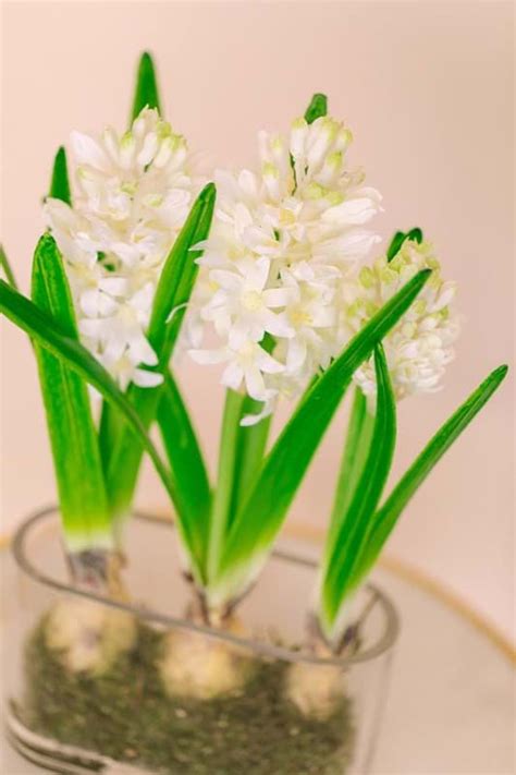 White Silk Hyacinth Bulbs | Faux Hyacinth Bulbs | Something Borrowed BloomsPremium Silk Flowers ...