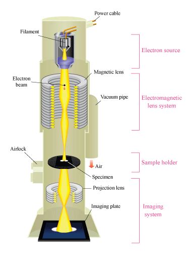 Figure A1 Schéma De Principe Dun Microscope électronique En