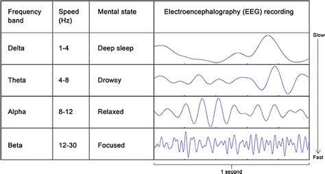 Eeg Brain Waves