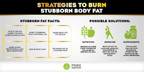 Strategies To Burn Stubborn Body Fat Clean Health