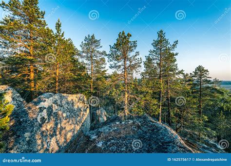 Foto Da Ladeira íngreme Da Floresta Escandinava Setentrional Em