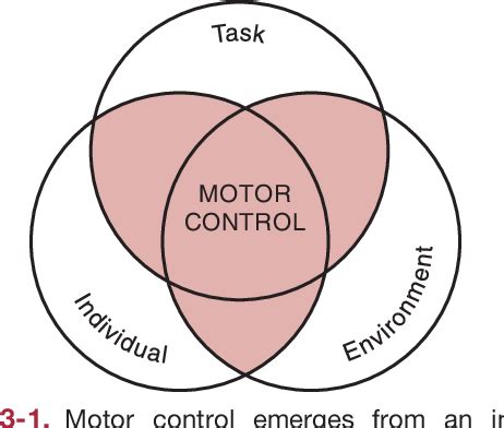 Motor Control In Humans A System Theoretical Approach Lupon Gov Ph