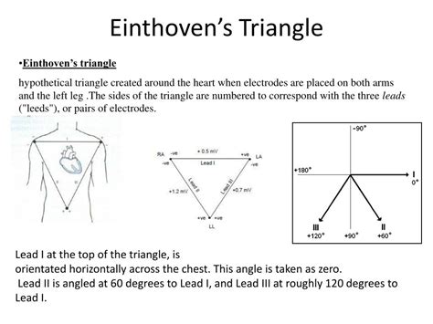 PPT Electrocardiography ECG EKG PowerPoint Presentation Free