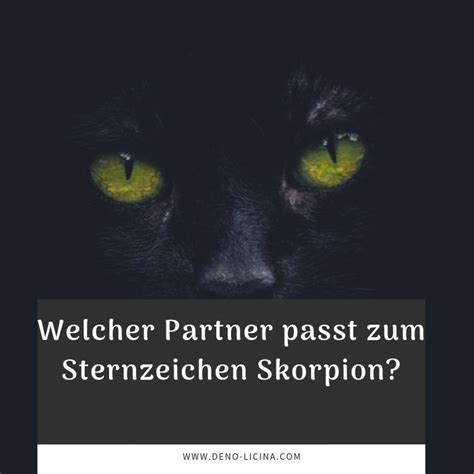 Welcher Partner Passt Zum Sternzeichen Skorpion Sternzeichen