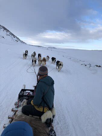 Inukpak Outfitting (Iqaluit) - All You Need to Know BEFORE You Go ...