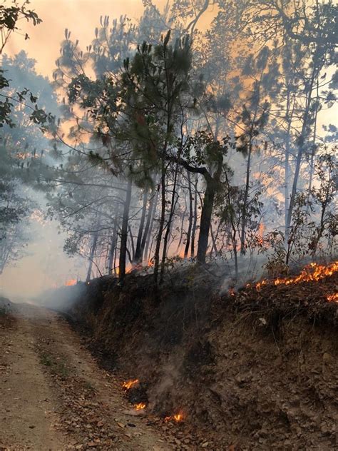 Semadet Activa Alerta Atmosf Rica En Talpa Vive Puerto Vallarta