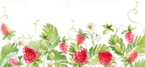 Strawberry Frame Watercolor Clipart Png