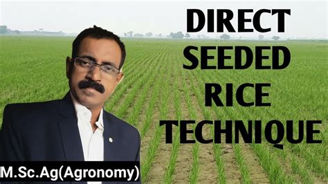 Direct Seeded Rice Technique Youtube