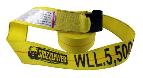 Winch Strap With Flat Hook Cts Cargo